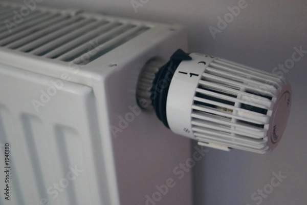 Obraz heater gauge cold