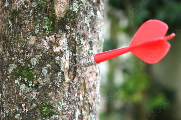 Obraz Dart on a tree.