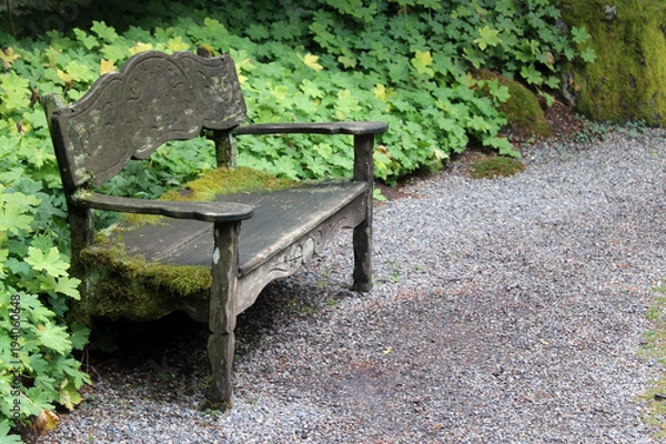 Obraz Mossy bench