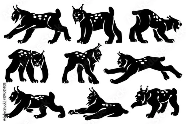 Fototapeta A set of decorative illustrations of lynxes. Drawing on a white background. Design element.