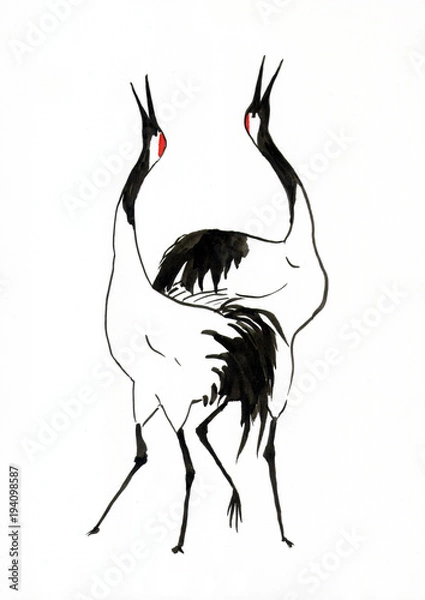 Fototapeta Рисунок тушью "Танец японских журавлей"