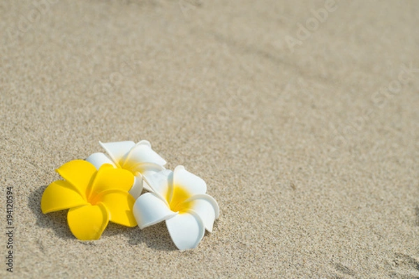 Fototapeta 砂浜とプルメリア