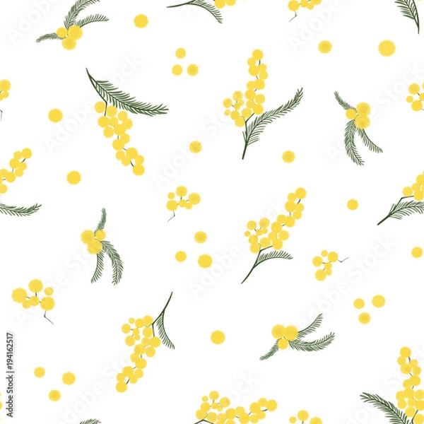 Obraz Spring seamless pattern with branches of mimosa. Vector.