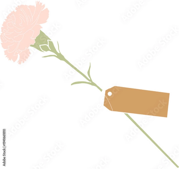 Obraz 분홍 카네이션 꽃 가정의달