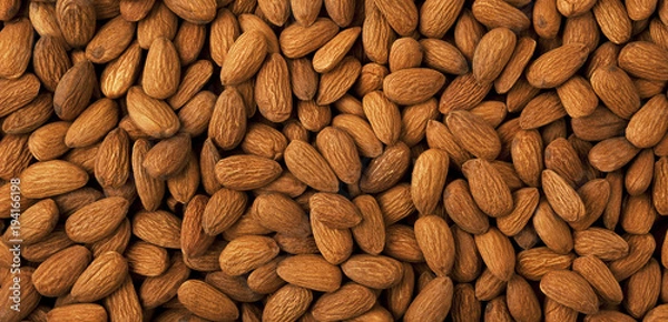 Obraz Almond background panorama.