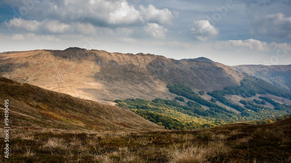 Obraz Bieszczady, Bukowe Berdo