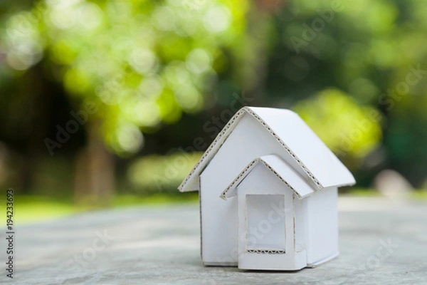 Fototapeta Paper home model.