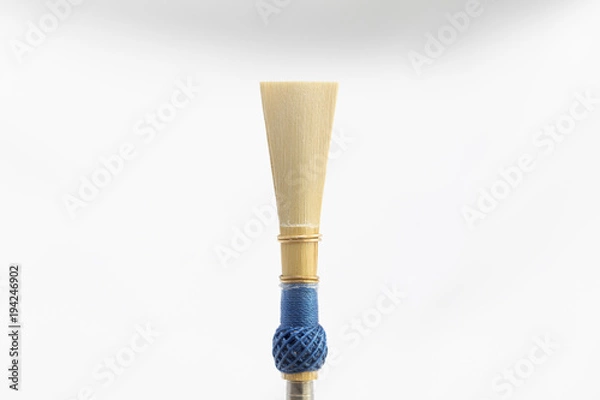 Obraz Bassoon reed