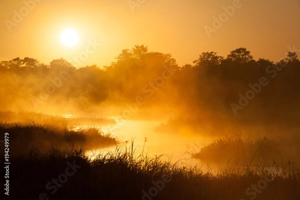 Fototapeta A horizontal, backlit, colour photograph of a slow, winding river glowing brightly in the golden-orange misty morning light, in the Okavango Delta, Botswana.