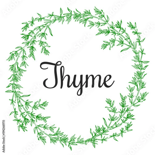 Obraz klucz do roślin tymianku