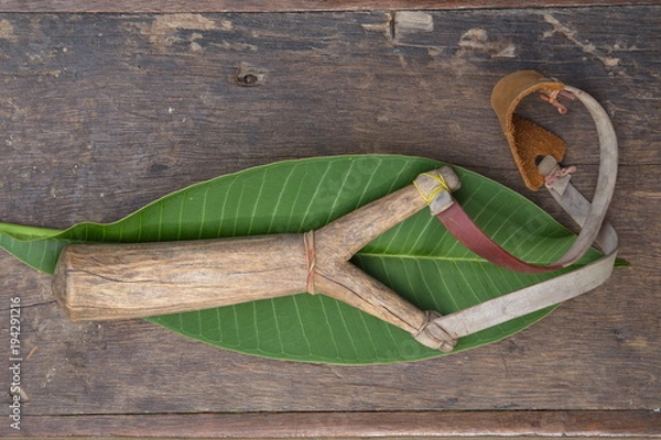 Obraz slingshot or catapult 