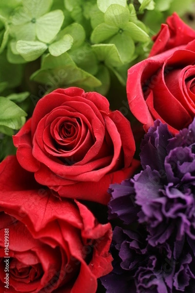 Obraz プリザーブドフラワー　赤　バラ　アップ