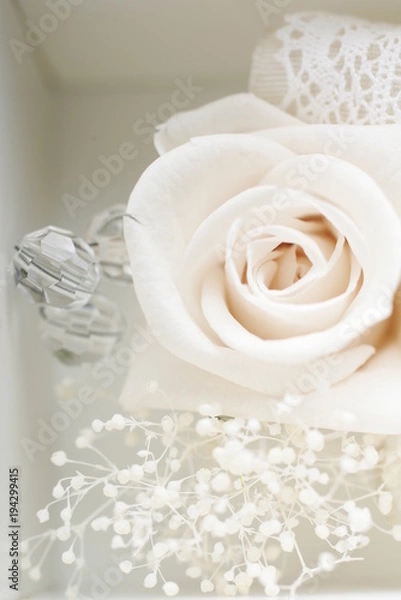 Obraz プリザーブドフラワー　白バラ　アップ　