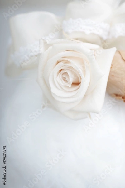 Obraz プリザーブドフラワー　コットン　アップ