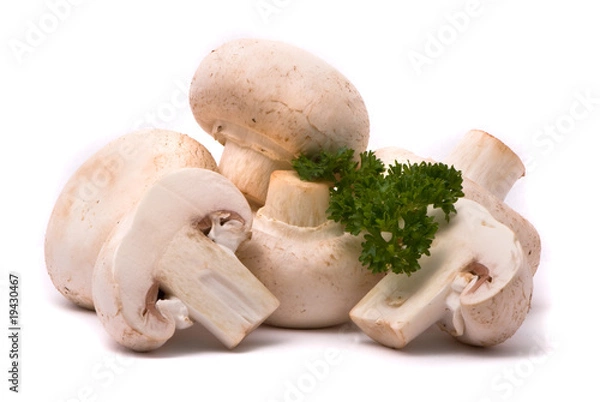 Obraz Fresh mushrooms isolated on a white background