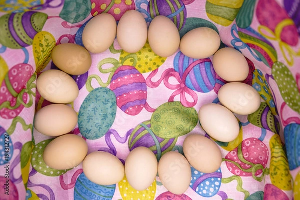 Obraz Raw eggs on colored background