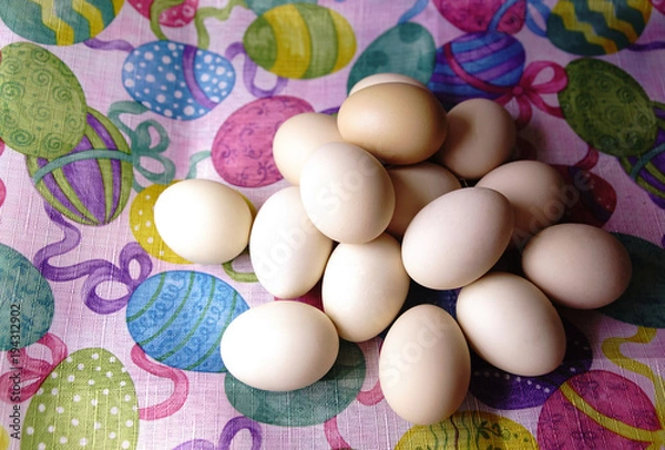 Fototapeta Raw eggs on colored background