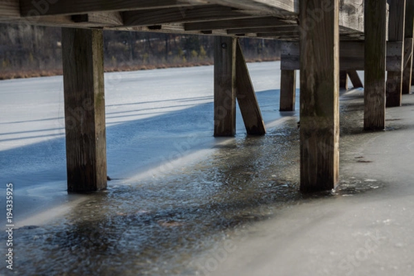 Fototapeta Dock posts in ice