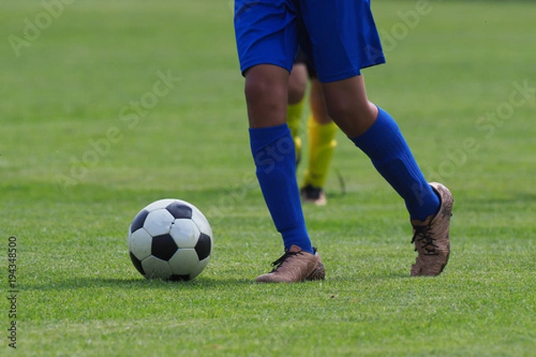 Fototapeta サッカー　フットボール