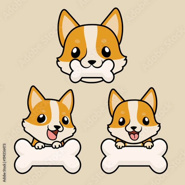 Fototapeta Close up head shot , set of Cute cartoon character design Pembroke Welsh Corgi dog ,bit white bone.