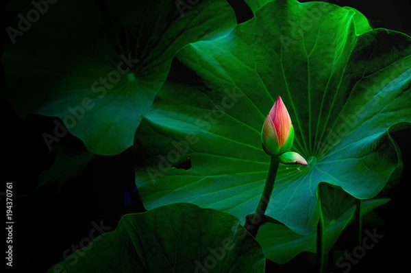 Obraz Sylwetka wojskowego snajpera z bronią w nocy w tłumie wesołych mężczyzn.