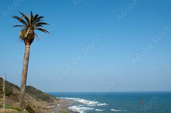 Obraz 水平線と椰子の木