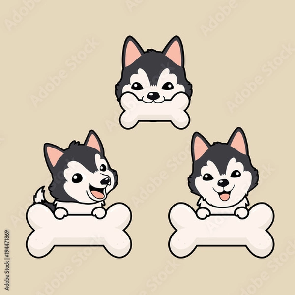 Fototapeta Close up head shot , set of Cute cartoon character design Dark Grey Siberian Husky dog ,bit white bone.