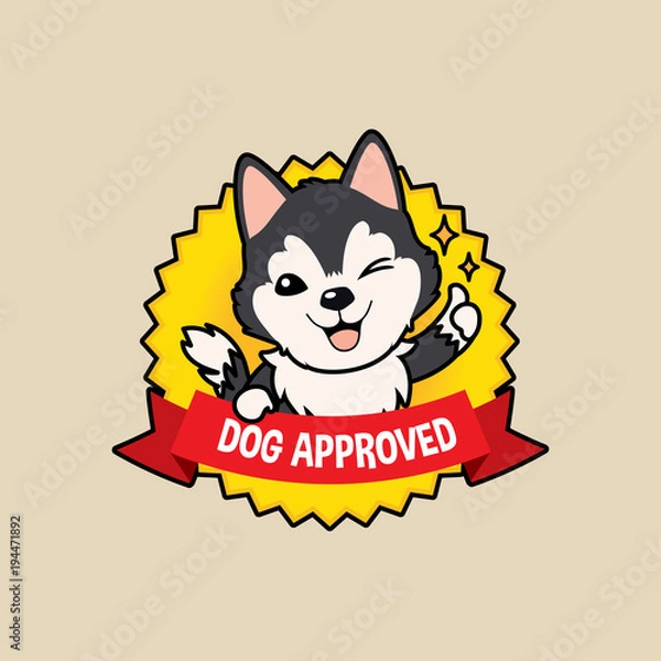 Fototapeta Cute cartoon character design Dark Grey Siberian Husky dog on badge design action thumb up , dog approved symbols ,flat style, guarantee vector illustration
