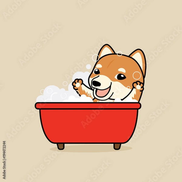 Fototapeta Cute cartoon character design Shiba Inu dog  take a bath in red bathtub with  soap bubbles