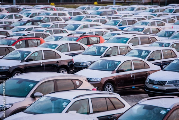 Fototapeta Many new cars parked in a row, ready for export