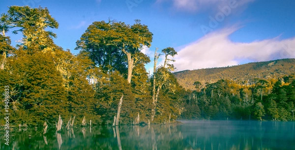 Obraz Laguna Captren 2