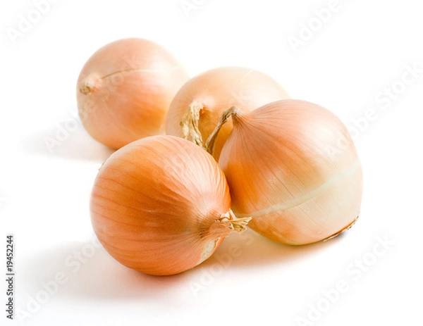 Obraz Four yellow onion bulbs