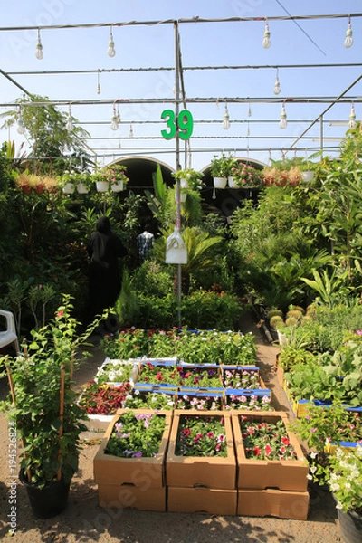 Fototapeta Fleuriste. Abou Dhabi. Emirats Arabes Unis. / Florist. The plant souk at Mina Zayed. Emirate of Abu Dhabi..