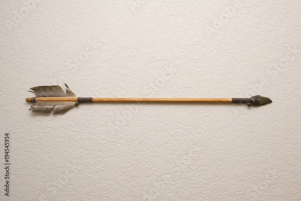 Fototapeta native american arrow