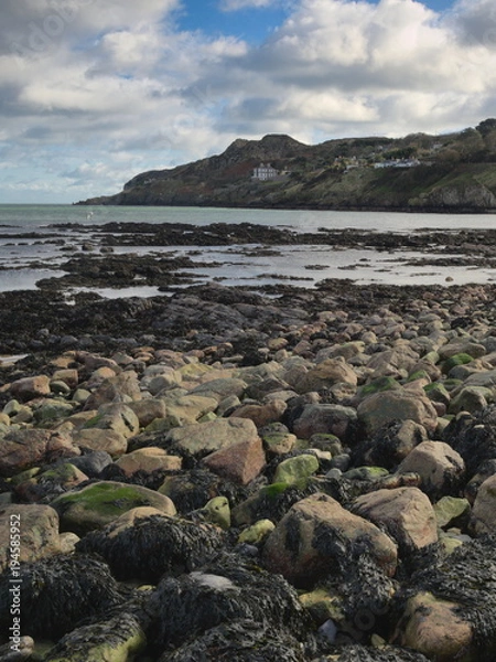 Obraz Howth - Küste an der Irischen See, Irland