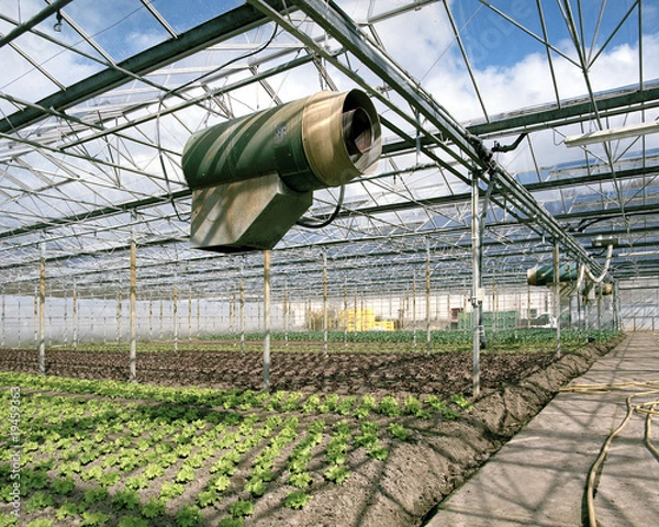 Obraz Gewächshaus