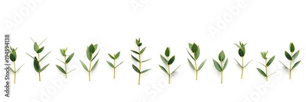 Obraz Seamless Pattern With Green Leaves