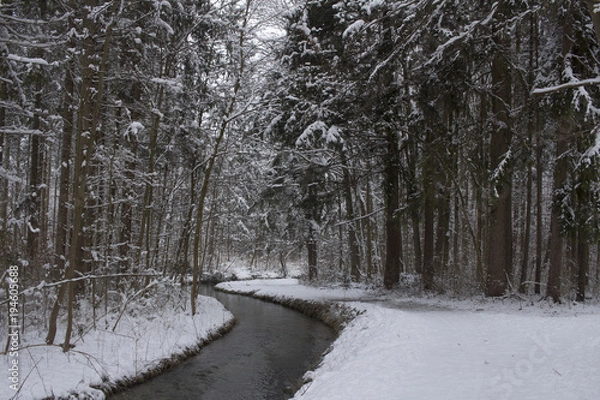 Fototapeta Tranquil forest scene at winter with snow