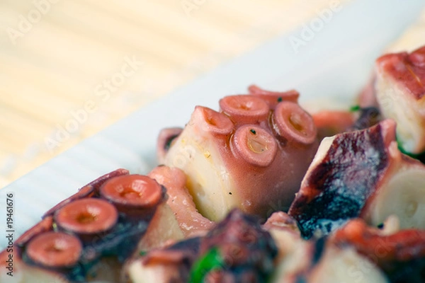 Obraz Octopus Salad