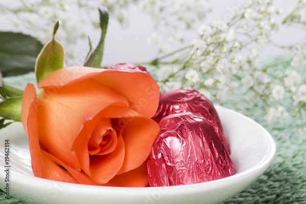 Obraz Rose and Chocolates