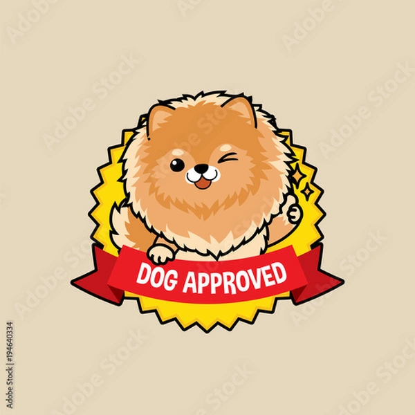 Fototapeta Cute cartoon character design Pomeranian dog on badge design action thumb up , dog approved symbols ,flat style, guarantee vector illustration