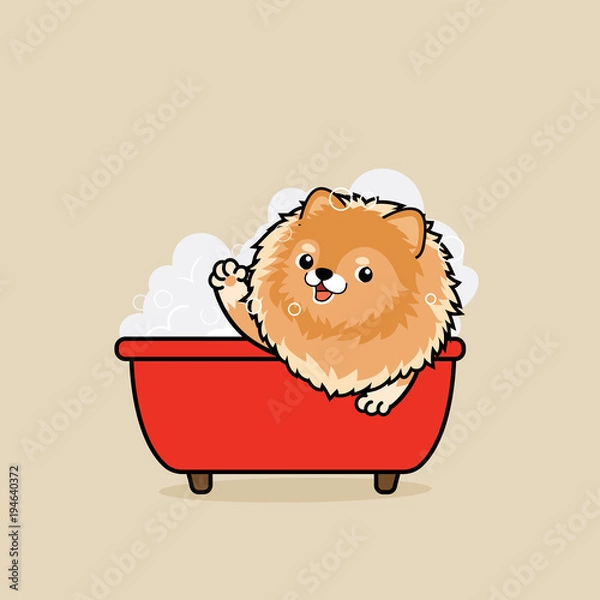 Fototapeta Cute cartoon character design Pomeranian dog in tub take a bath in bathtub with  soap bubbles