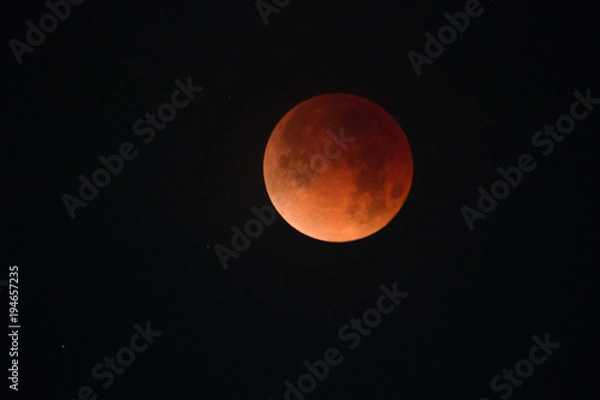 Obraz Blood moon