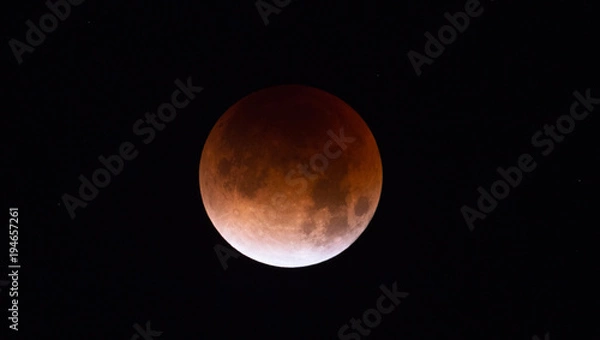 Fototapeta Lunar eclipse