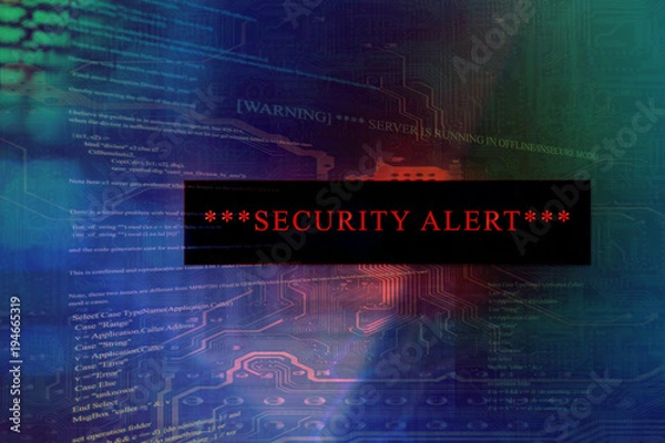 Obraz Security alert on a computer system and server