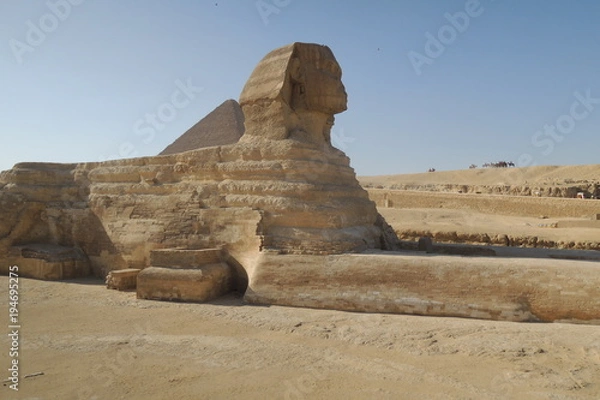 Fototapeta エジプトのピラミッド