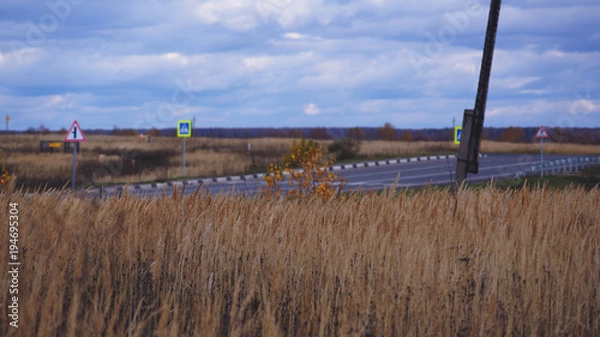 Obraz Колосистое поле