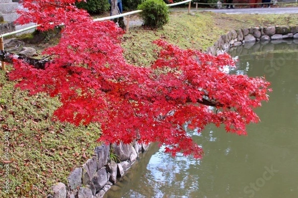 Obraz 根来寺の紅葉