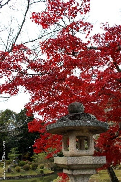 Obraz 根来寺の紅葉
