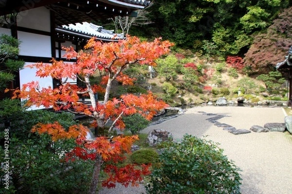 Obraz 根来寺の紅葉